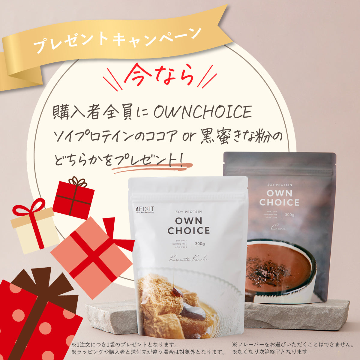 FItfesプロテイン PROTEIN《カフェラテ味》 | PHIZ BODY